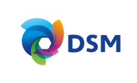 DSM